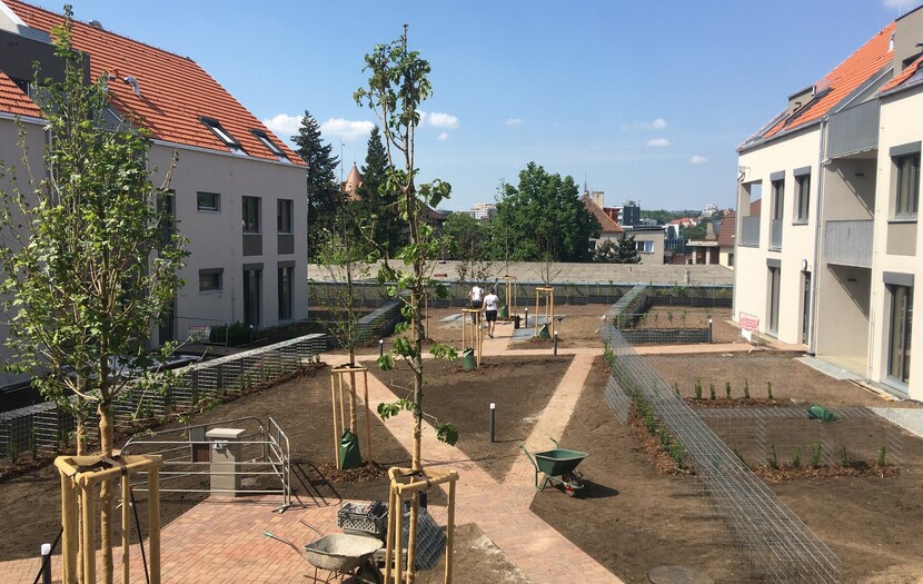 DOKONČOVÁNÍ 5.2022