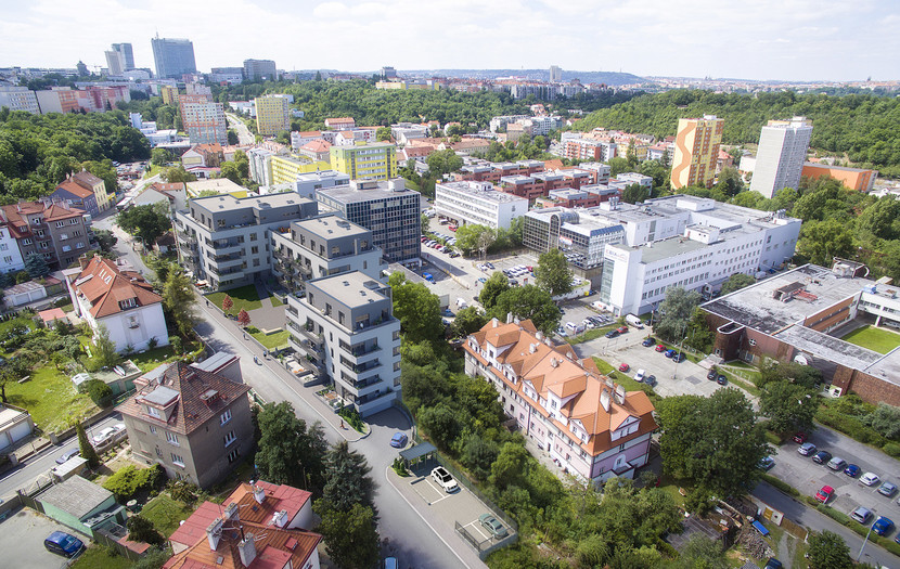 Nadhledová vizualizace